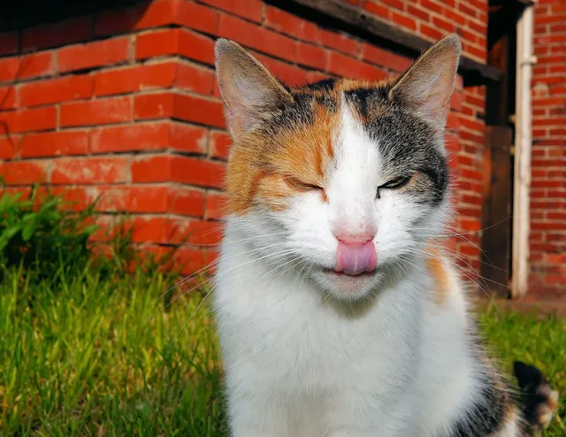 mujer sacando la lengua
