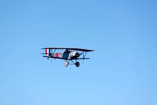 mujer, fijación, cinturón de seguridad, en, avión