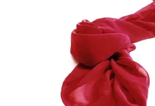 9 accesorios que todo viajero de Van Life necesita