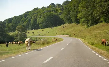 Un camino hacia la agricultura