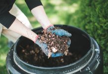 Compostaje: una guía completa para principiantes